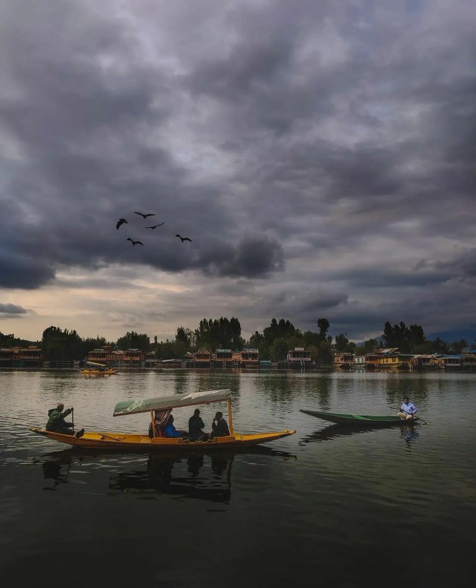 Atif45726612's tweet photo. Notice that autumn is more the season of the soul than of nature-Friedrich Nietzsche.

#Srinagar
#Kashmir  
#beauty https://t.co/9Cq22zrgET