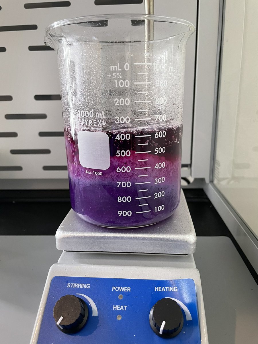 Ryan Ringo tweet media