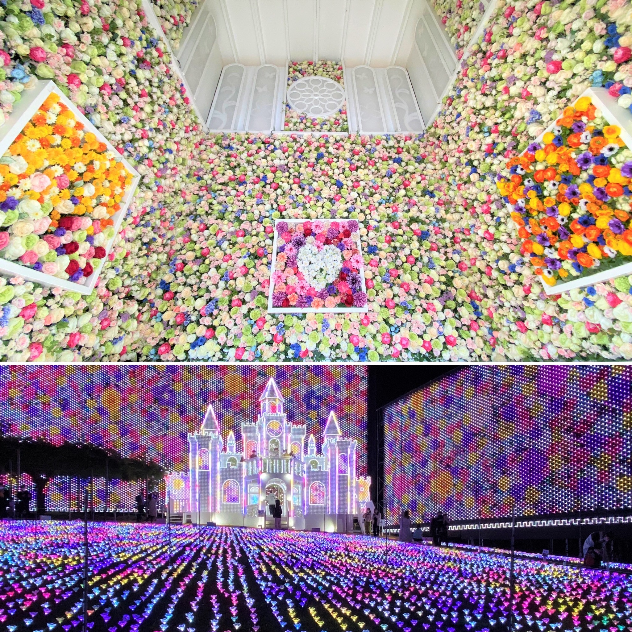 あしかがフラワーパーク 公式 今シーズンリニューアルしたフラワーキャッスル 室内は無数のフラワーアートで彩られております th Anniversaryイルミネーションの詳細はコチラ T Co 5jhznti1mr オンラインショップも是非 T Co あしかがフラワーパーク 公式 今シーズンリニューアルしたフラワーキャッスル 室内は無数のフラワーアートで彩られております th Anniversaryイルミネーションの詳細はコチラ T Co 5jhznti1mr オンラインショップも是非 T Co