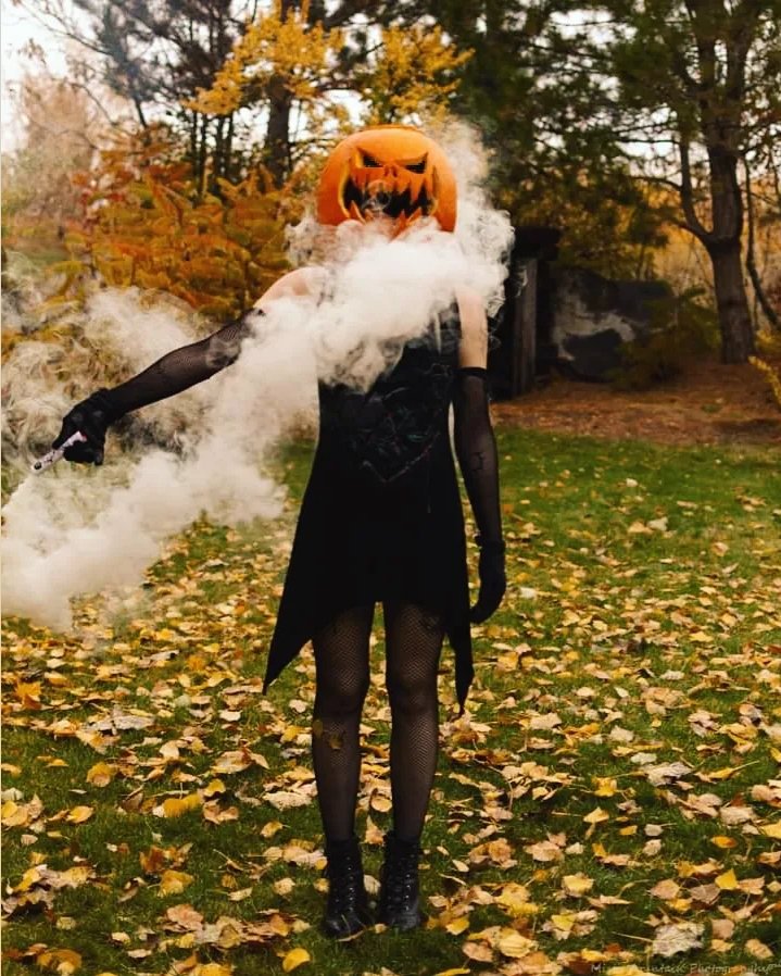 owlliecat's tweet photo. Back on Twitter after.... 3 years? Lol well here's some late Halloween photos. 🙃🎃 https://t.co/mKFdTipsQf