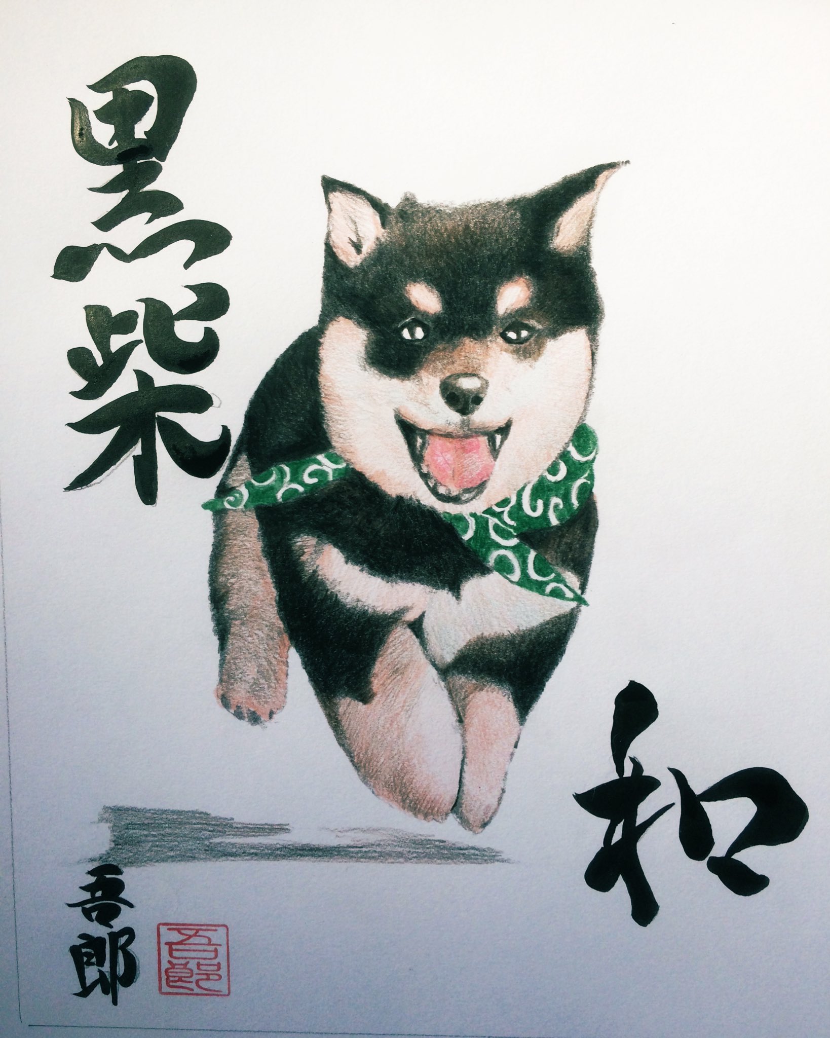 Ken Shiozaki | #犬 #戌 #いぬ #柴犬 #柴 #黒柴 #たんぽぽ #桜