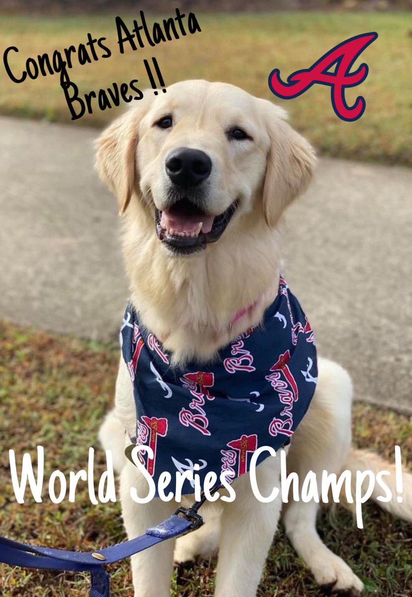 CanineAssistant's tweet photo. Congratulations to our Atlanta Braves for winning the World Series!  We are so proud of you! 

#BattleATL #GoBraves #WorldSeries #Atlanta #WorldChampions #AtlBraves https://t.co/8CMph81tui