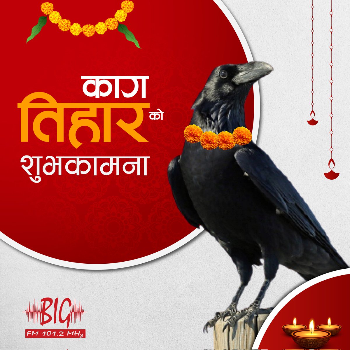 BigFmPkr's tweet photo. हामी सबैको आँगनीमा सदासर्वदा कागले हर्ष र उत्साहका समाचारहरू ल्याईरहोस, शुभकामना!! https://t.co/1Vew9v0AF8