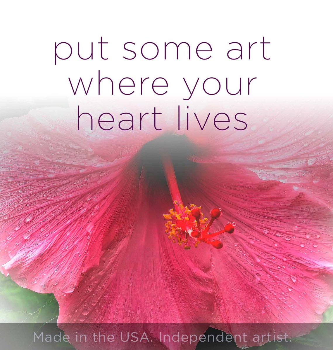 MarlinOuverson's tweet photo. Put some #art where your #heart lives. Modern #photoart with exceptional production quality and clear value. https://t.co/qvlhmpGnwW offers unique images for home, business, and public spaces. Many avail. in large sizes for contemporary #decor trends. https://t.co/nbaXcW5o2e