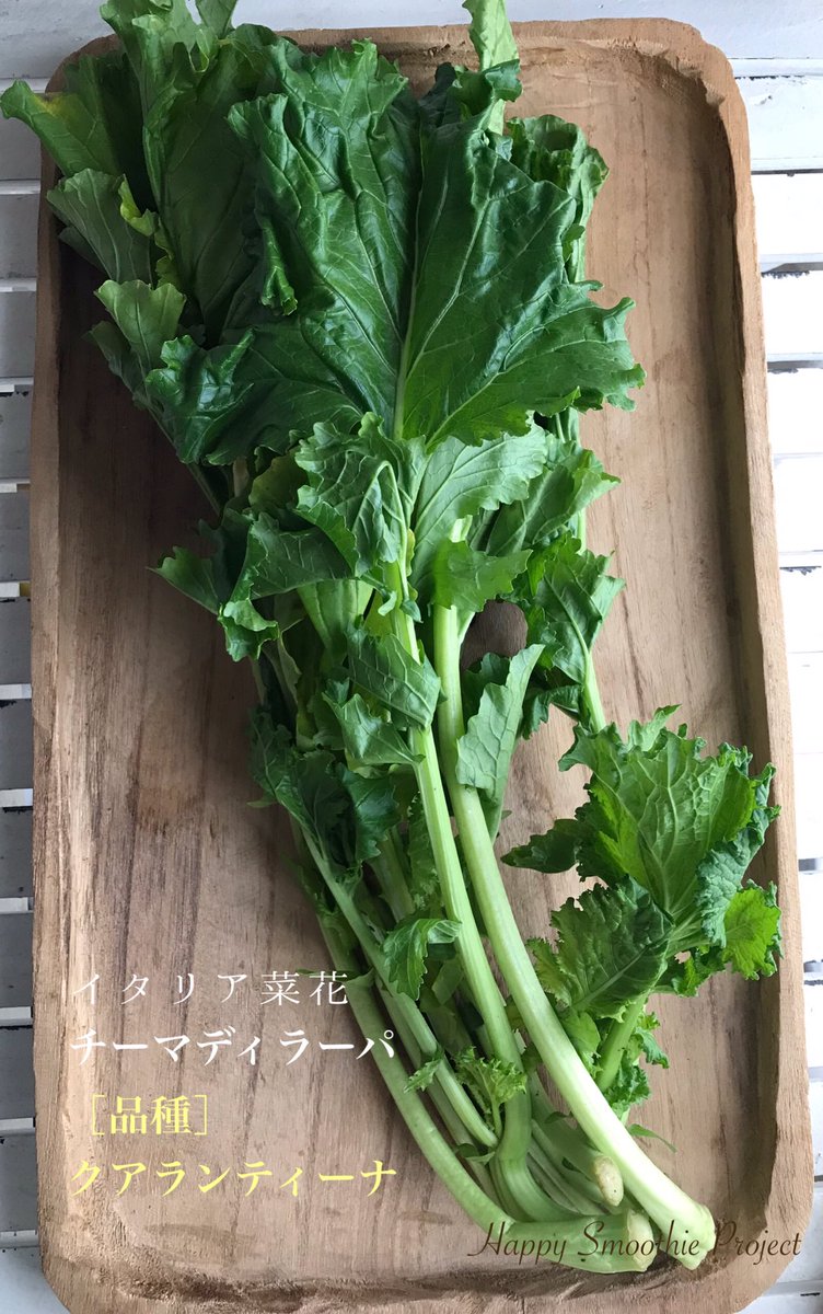 maplech's tweet photo. 南イタリアの菜の花
#チーマディラーパ はイタリア語の名称。(Cima di rapa)
かぶのトップという意味で
かぶの菜の花になります🥬
日本の菜の花よりも苦味は少なく
頂きやすかったです😊
#Cimadirapa #クアランティーナ
#Turniptops #ターニートップ
#富山市水橋産 https://t.co/nDVJRPoboF