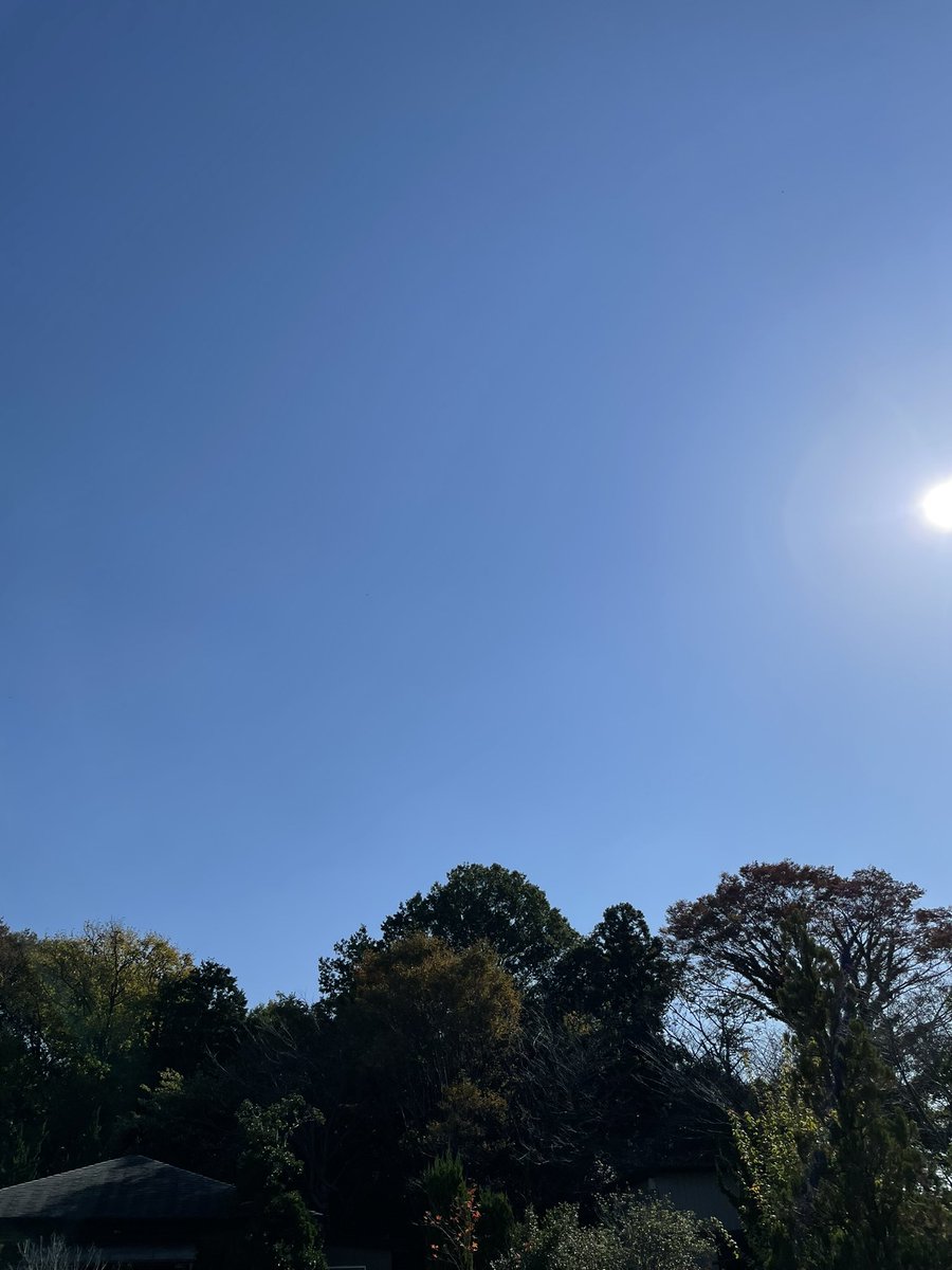 halulu0804's tweet photo. ご報告
2021年11月1日午前4:25
みさ、永眠しました
これまでみさを応援してくださってありがとうございました
今はとてもいろんなことをお話したりする気力がありませんが、少しずつお話できたらと思いますので、そっと見守っていただけると嬉しいです
＃秘密結社老犬倶楽部天国支部
 #みさちゃん通信 https://t.co/N04ldjoHtB
