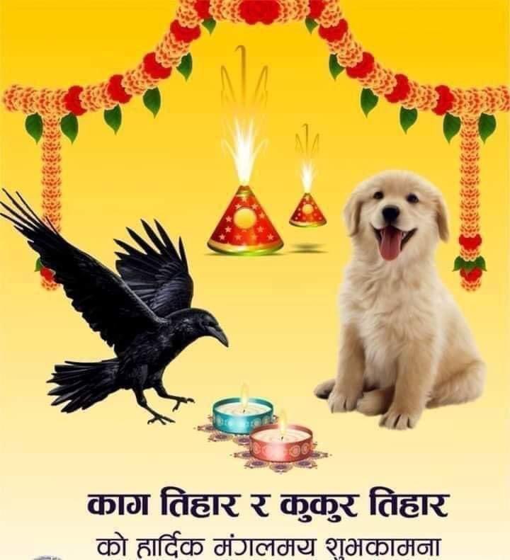 dvirus336's tweet photo. @srijanaxx शुभ बिहानी तथा शुभ दिनको कामना गर्दछु, साथै https://t.co/nGNw3w4QLW