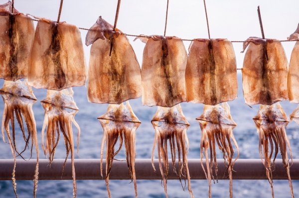 #다이어트 #저칼로리음식

먹어도 살 안 찌는 저칼로리 음식들 모음.zip
👉 getggul.com/section/view/1…