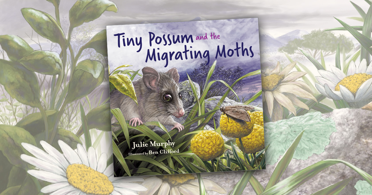 juliekidsbooks's tweet photo. @darkskyalliance FYI Tiny Possum and the Migrating Moths helps children discover why Bogong Moths need the night sky. @CSIROPublishing #STEMed https://t.co/QKepCpo6uX