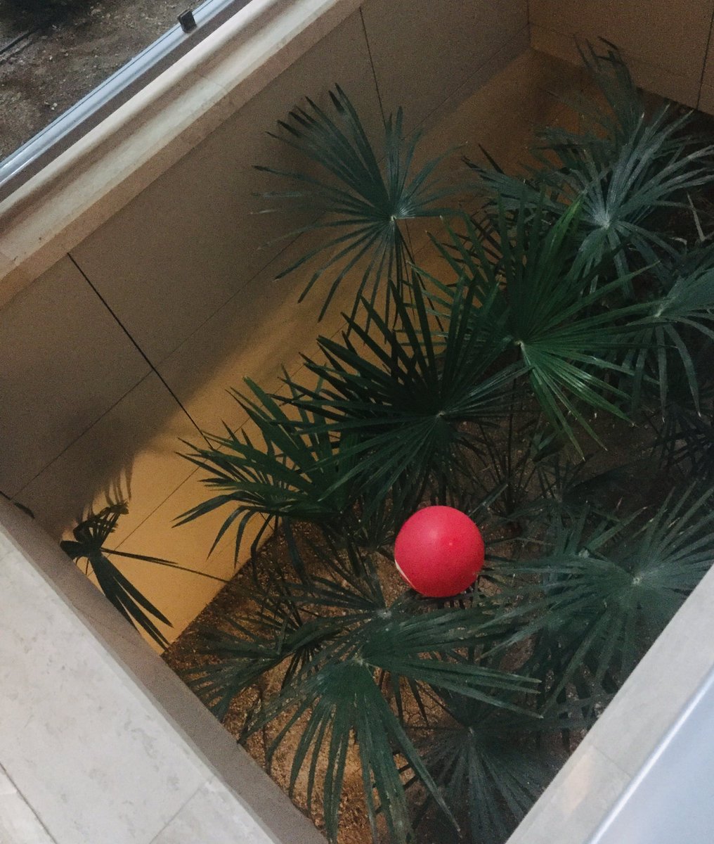 D_BKM_'s tweet image. Bu ne ya? Sabah sabah sinirim bozuldu. 😳🙄🤣🤣🤣 #ItChapterThree