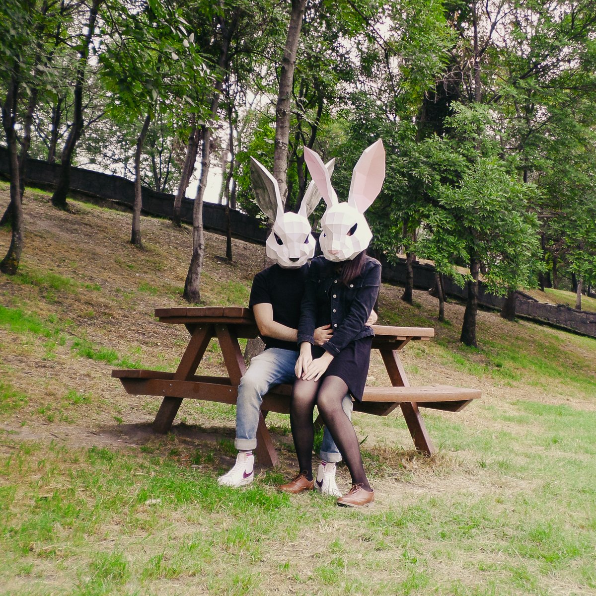 effydarcy's tweet photo. Into the woods 🍂🐰🌲 https://t.co/WeSqJw9q6W