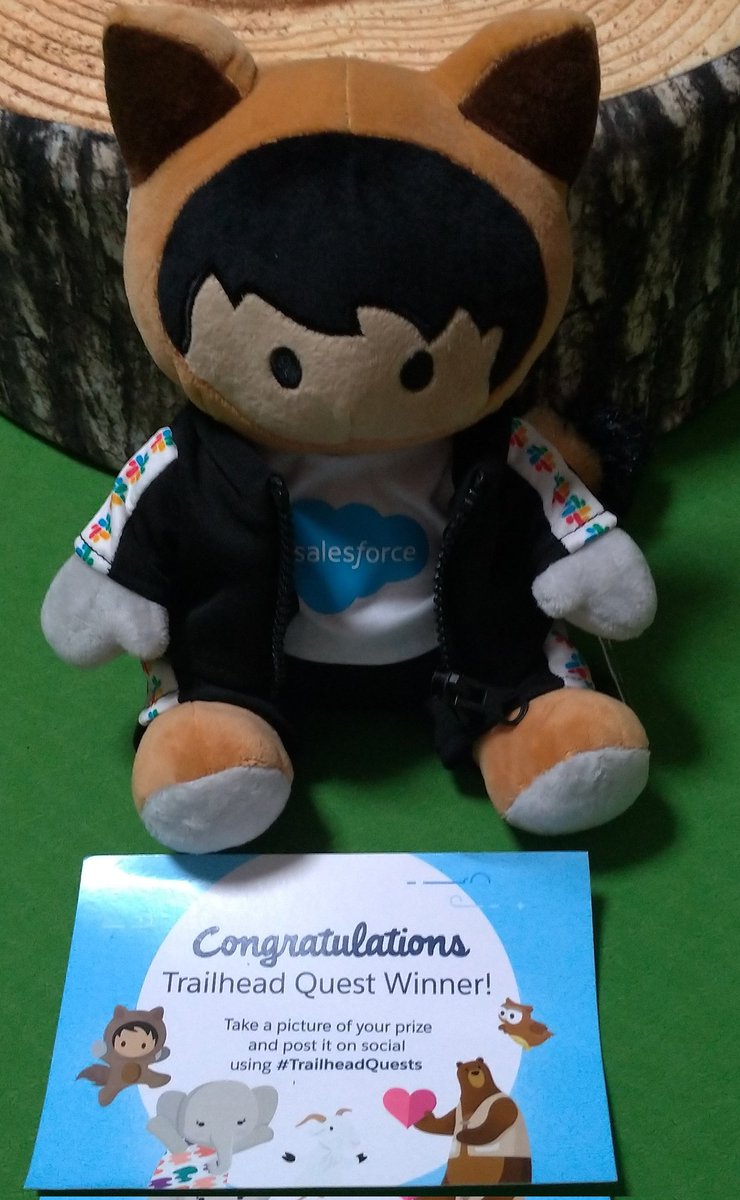 endou_kanako's tweet photo. #TrailheadQuest のSlack Astro届きました！
ちゃんとジッパーが開け閉めできる素晴らしい仕様となっております。 https://t.co/GO2c3MzDEQ