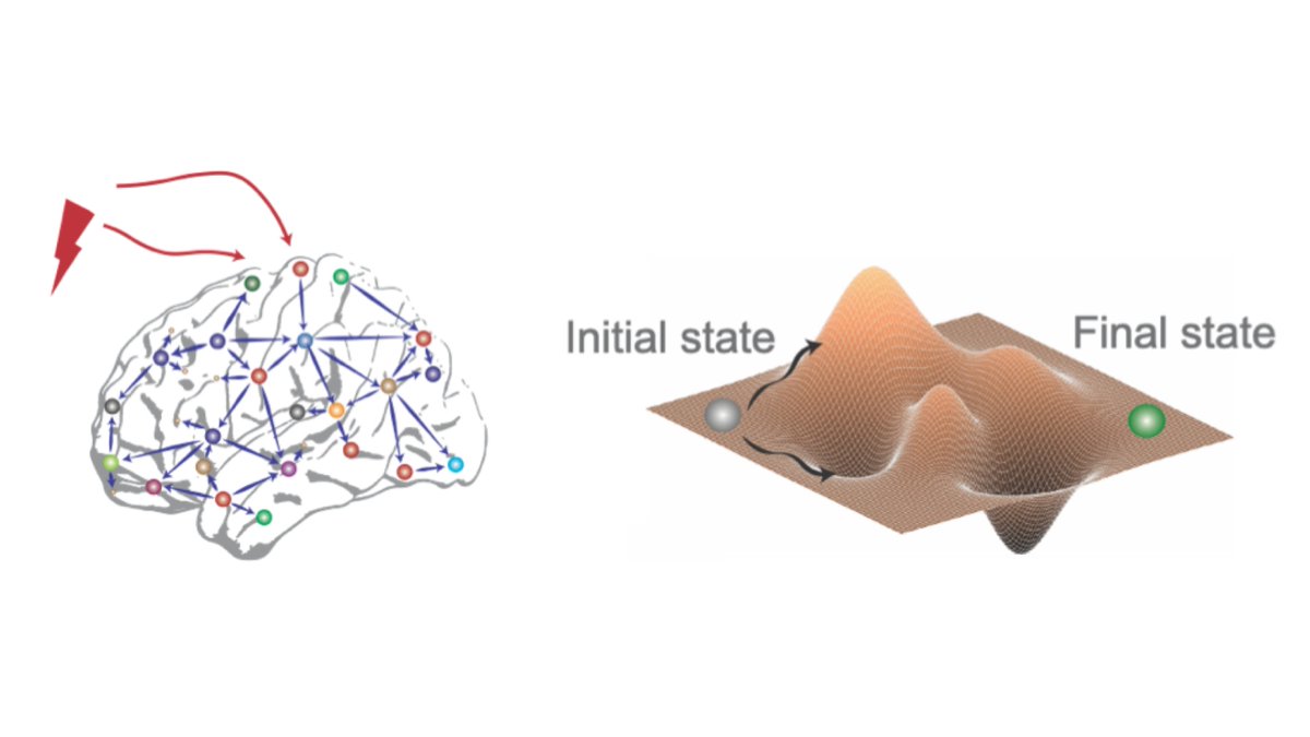 Structure and function of the human brain are intrinsically entwined: Patterns of activity are both influenced and constrained by signal propagation along the structural connectome. Here @leonweninger describes these constraints with network control theory. (1/n)