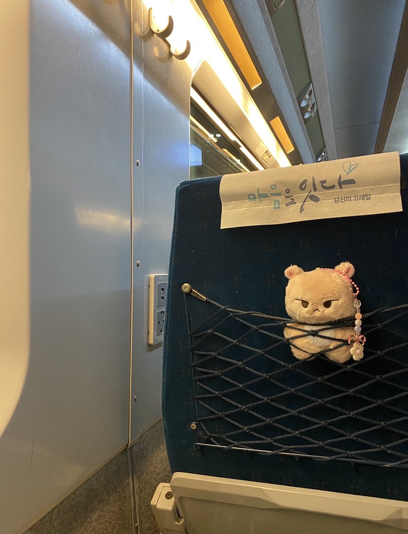 docapybara's tweet photo. #햄토니자랑대회
내토니는요
심부름시켰더니.혼자지하철도타고요
안전벨트까지매고 기차도탔댄다... https://t.co/8zwnJTUYJT