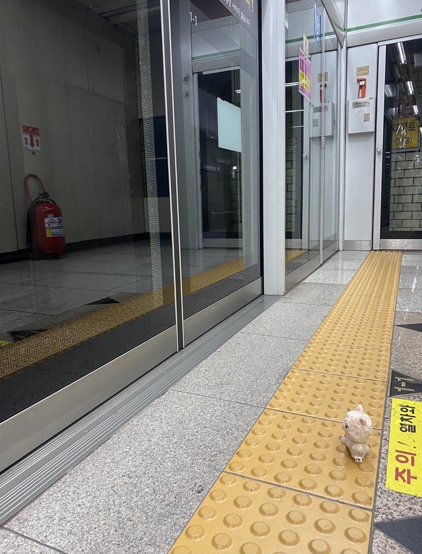 docapybara's tweet photo. #햄토니자랑대회
내토니는요
심부름시켰더니.혼자지하철도타고요
안전벨트까지매고 기차도탔댄다... https://t.co/8zwnJTUYJT