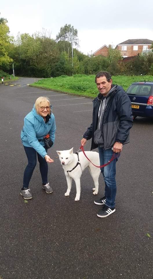 Beautiful Nala left for her new forever home at the weekend abd is settling in well.
Be happy Nala x