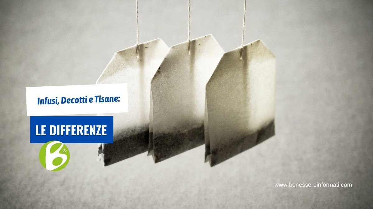 BenessereInfo's tweet photo. Vi siete mai chiesti quale è la differenza tra un infuso, un decotto e una tisana? Ve lo diciamo qui https://t.co/MdzAW9HNZX https://t.co/OKvKPBSscR