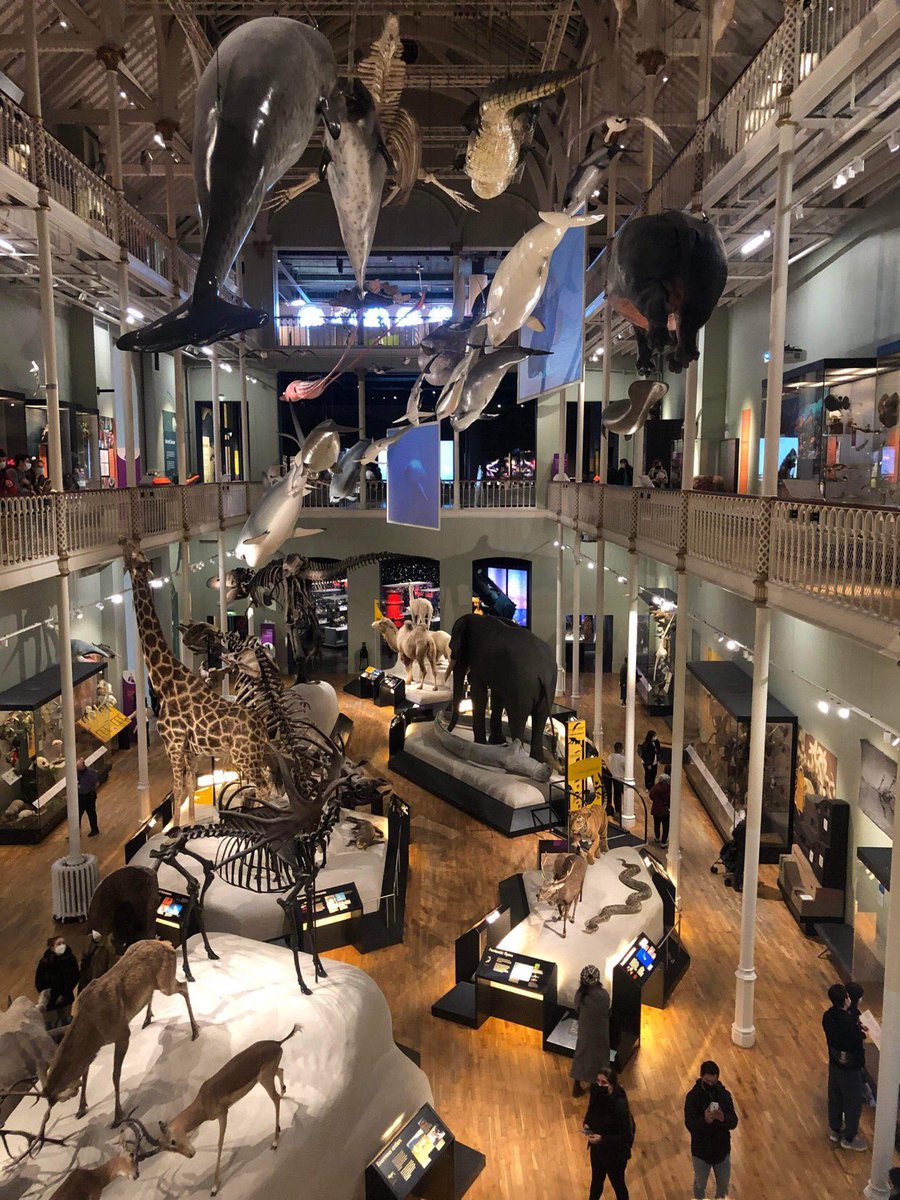 FunkyEllas's tweet image. The National Museum of Scotland is just one of many free to enter museums in Edinburgh that is perfect to take the kids to on a rainy day #Edinburgh