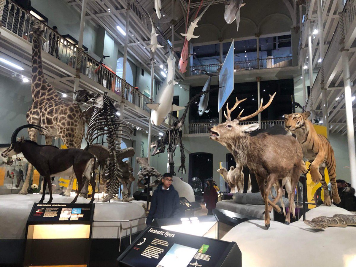 FunkyEllas's tweet image. The National Museum of Scotland is just one of many free to enter museums in Edinburgh that is perfect to take the kids to on a rainy day #Edinburgh