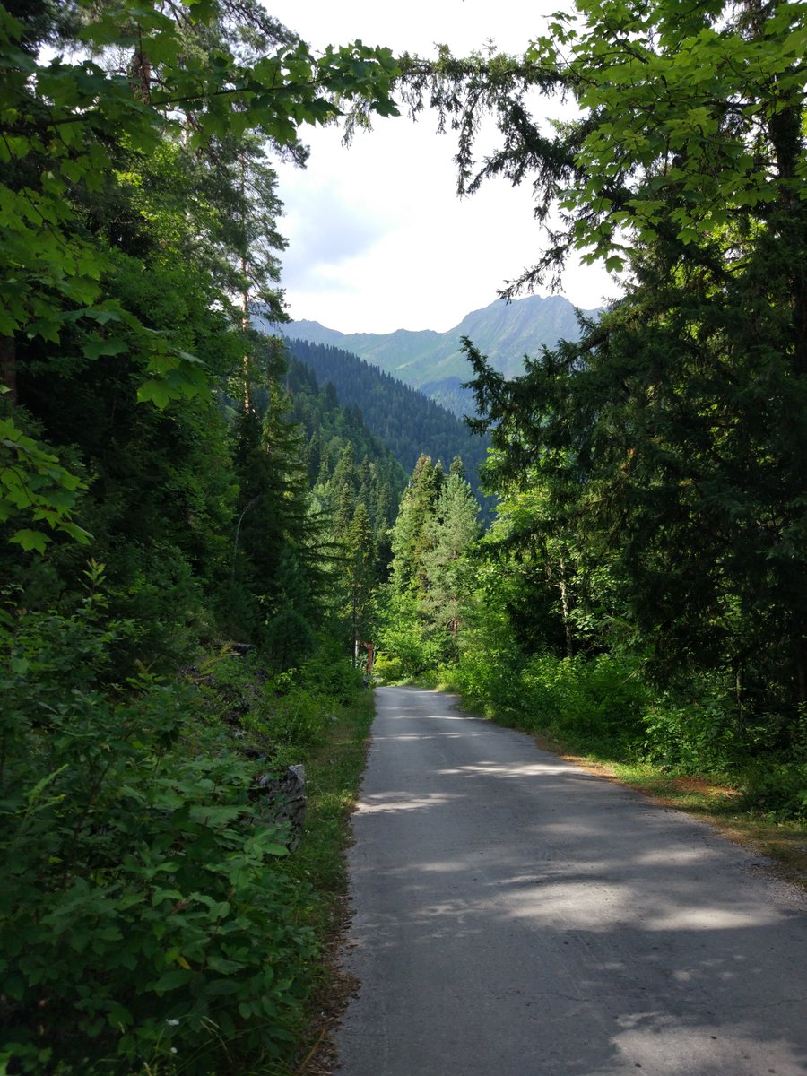 mapscores's tweet photo. Amazing nature of Abkhazia (Caucasus)

📸: Andrey Firsov

#potd #photooftheday #nature #naturephotography #photography #mobilephotography @ThePhotoHour @StormHour https://t.co/hp4vHXTMFx