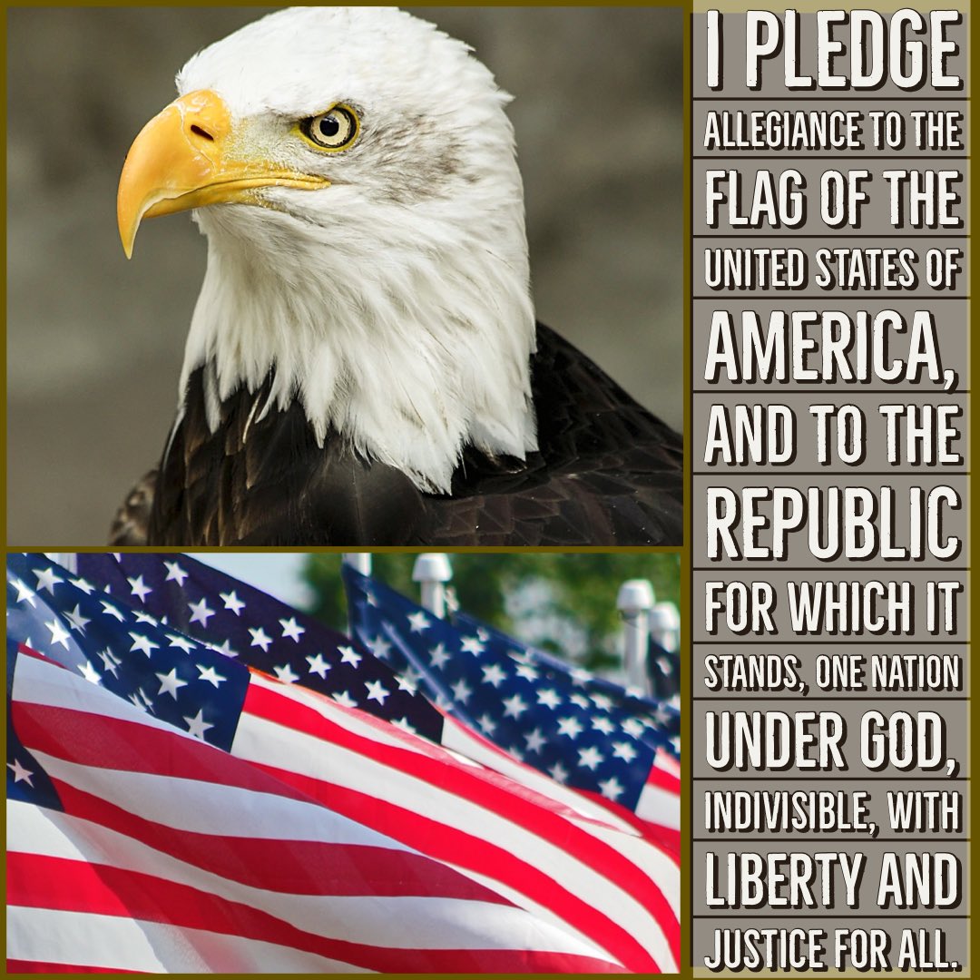 kristINCREDIBL1's tweet image. Good Wednesday morning! ❤️🤍💙

Raise the FLAG 🇺🇸
Say the PLEDGE 🙏🏻