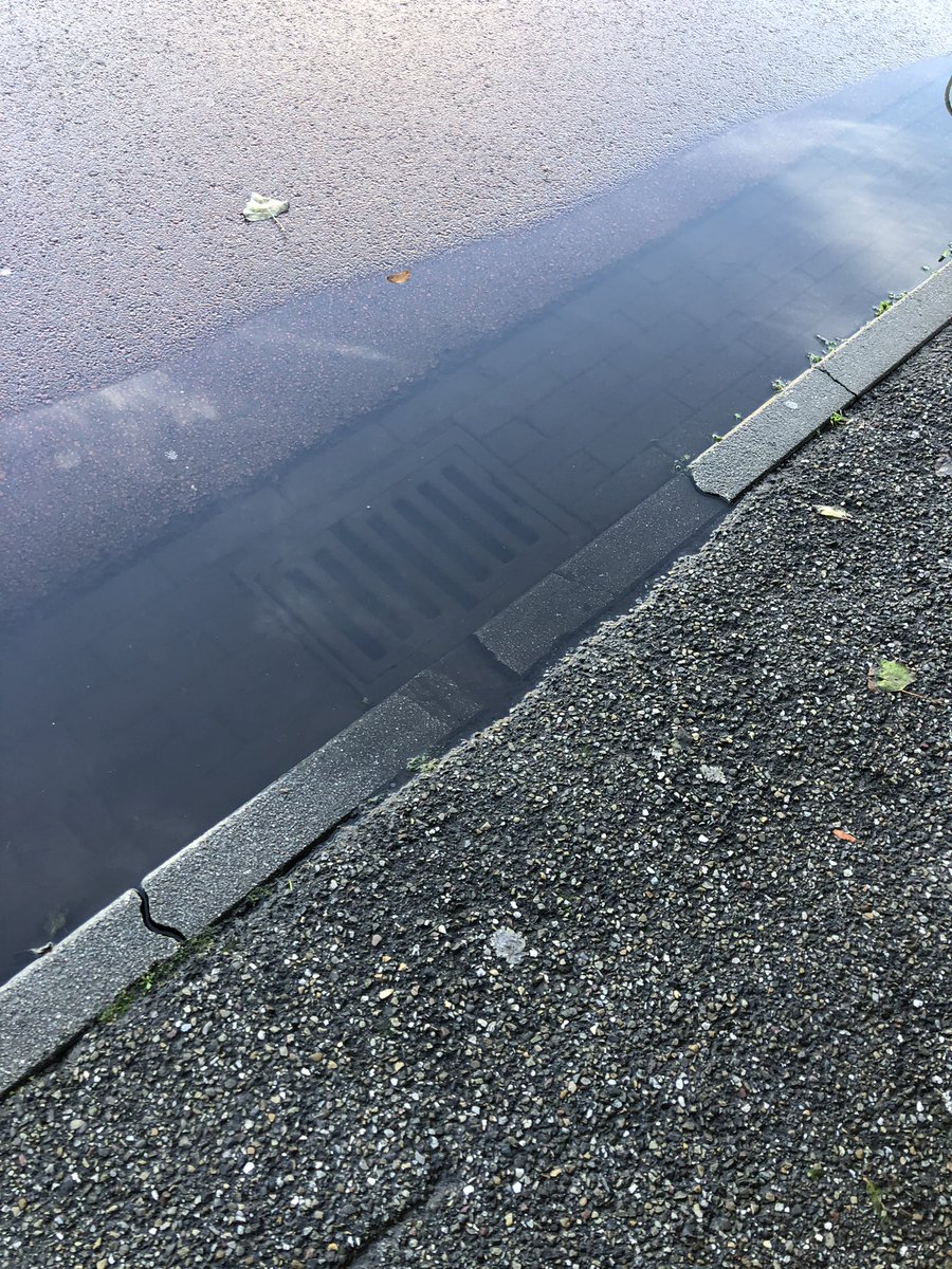 AYillmaz's tweet photo. Afwatering in Den Haag. Geen uitzondering met regenval, zelfs na een dag: https://t.co/UxKZynQhY4