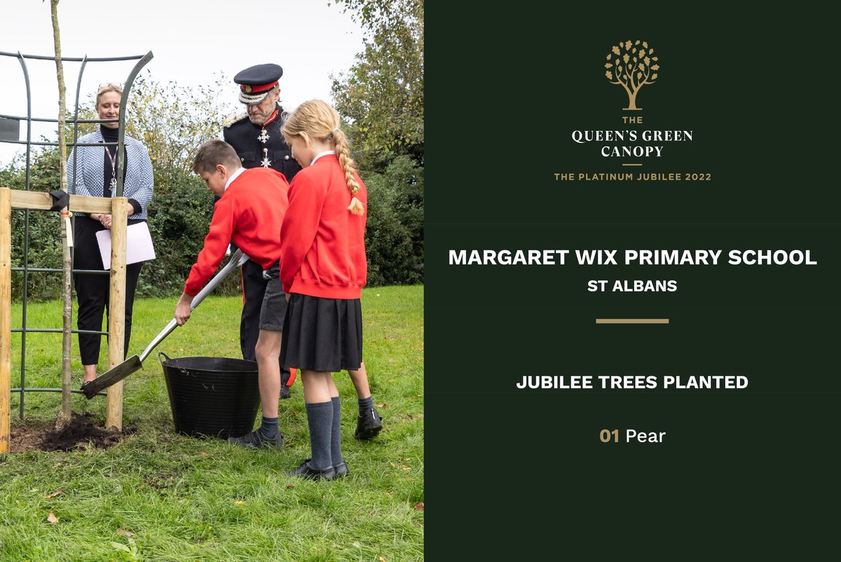 QGCanopy's tweet image. “The tree symbolises our commitment, as a school, to look after the #environment and ensure that our children are ambassadors for sustainability.” 🌍

A lovely quote from Margaret Wix Primary School in #StAlbans who have planted a #QGCCelebrationTree 🎉

➡️queensgreencanopy.org/qgc-map