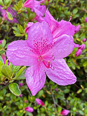 Textengel1's tweet image. &quot;Ich habe mich von A bis Z gut informiert und abgeholt gefühlt. Bei Fragen war es einfach möglich, mit Frau Engelkamp in Kontakt zu treten. Die Korrekturen waren sehr gut nachvollziehbar. Frau Engelkamp kann ich sehr gut weiterempfehlen.&quot;
Alex Pfister, Generalagent Zurich, Widnau