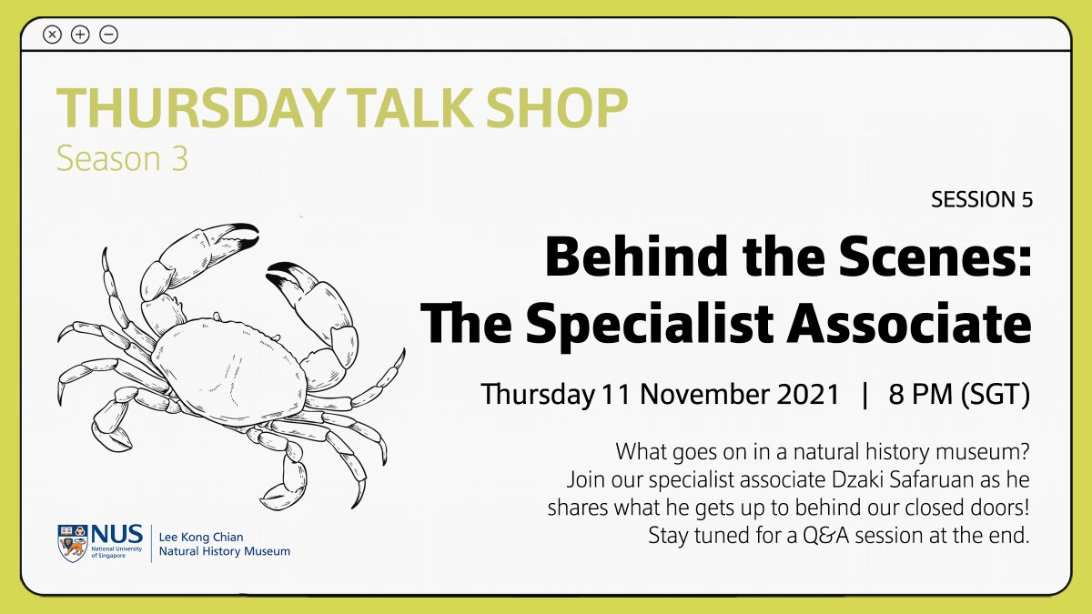 lkcnhm's tweet photo. [#ThursdayTalkShop] Catch our season finale as our specialist associate Dzaki Safaruan demystifies the things that goes on in our #museum!

𝗕𝗲𝗵𝗶𝗻𝗱 𝘁𝗵𝗲 𝗦𝗰𝗲𝗻𝗲𝘀: 𝗧𝗵𝗲 𝗦𝗽𝗲𝗰𝗶𝗮𝗹𝗶𝘀𝘁 𝗔𝘀𝘀𝗼𝗰𝗶𝗮𝘁𝗲
11 Nov, 8–9pm via Zoom: https://t.co/qsztRoa50w https://t.co/ha058YbjjU
