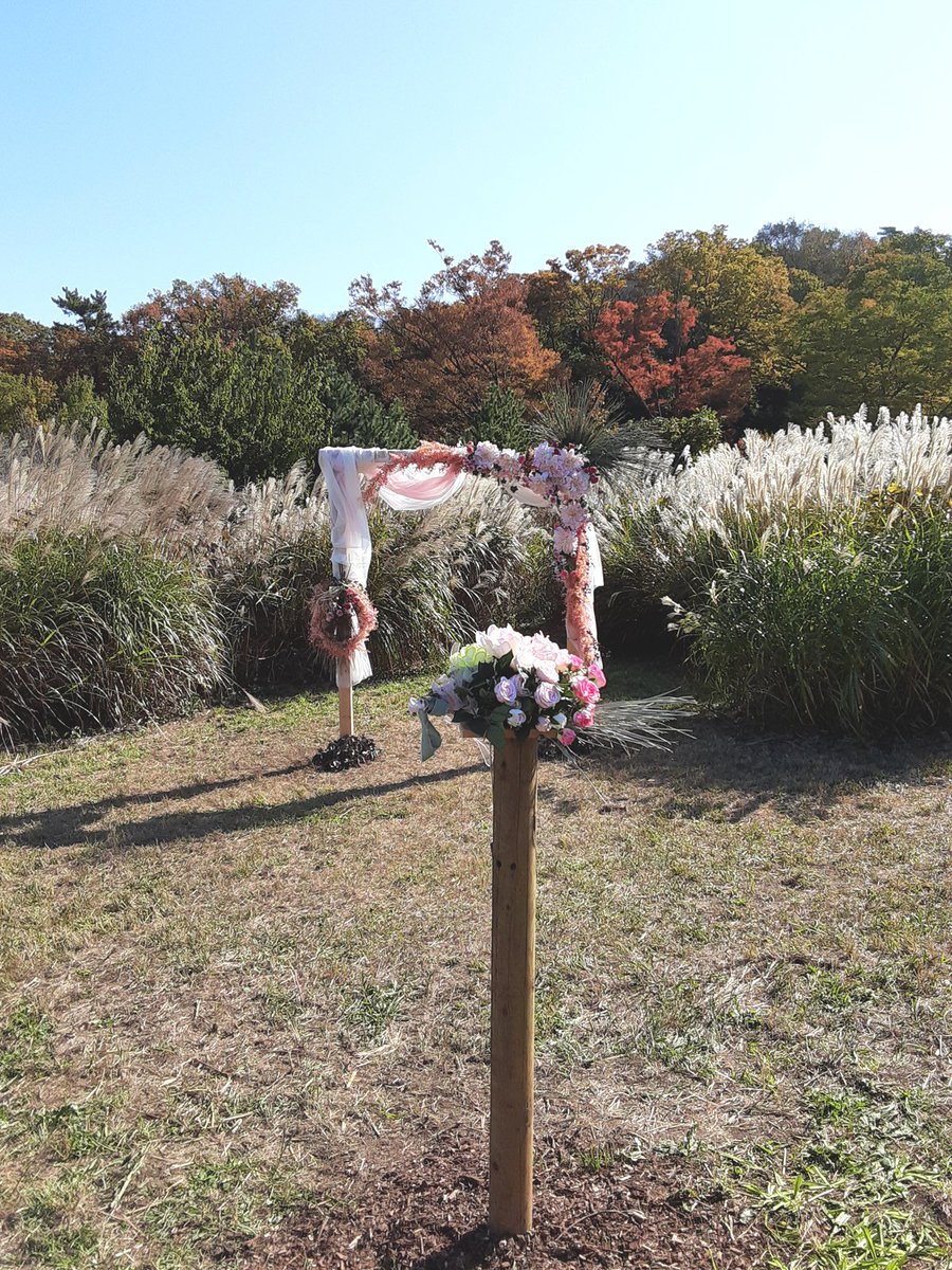 peromekuero's tweet photo. こうえんのフォトスポット
ミッドサマーみたせいでどうしてもふおんに見える…👀 https://t.co/o7oLjTPy5d