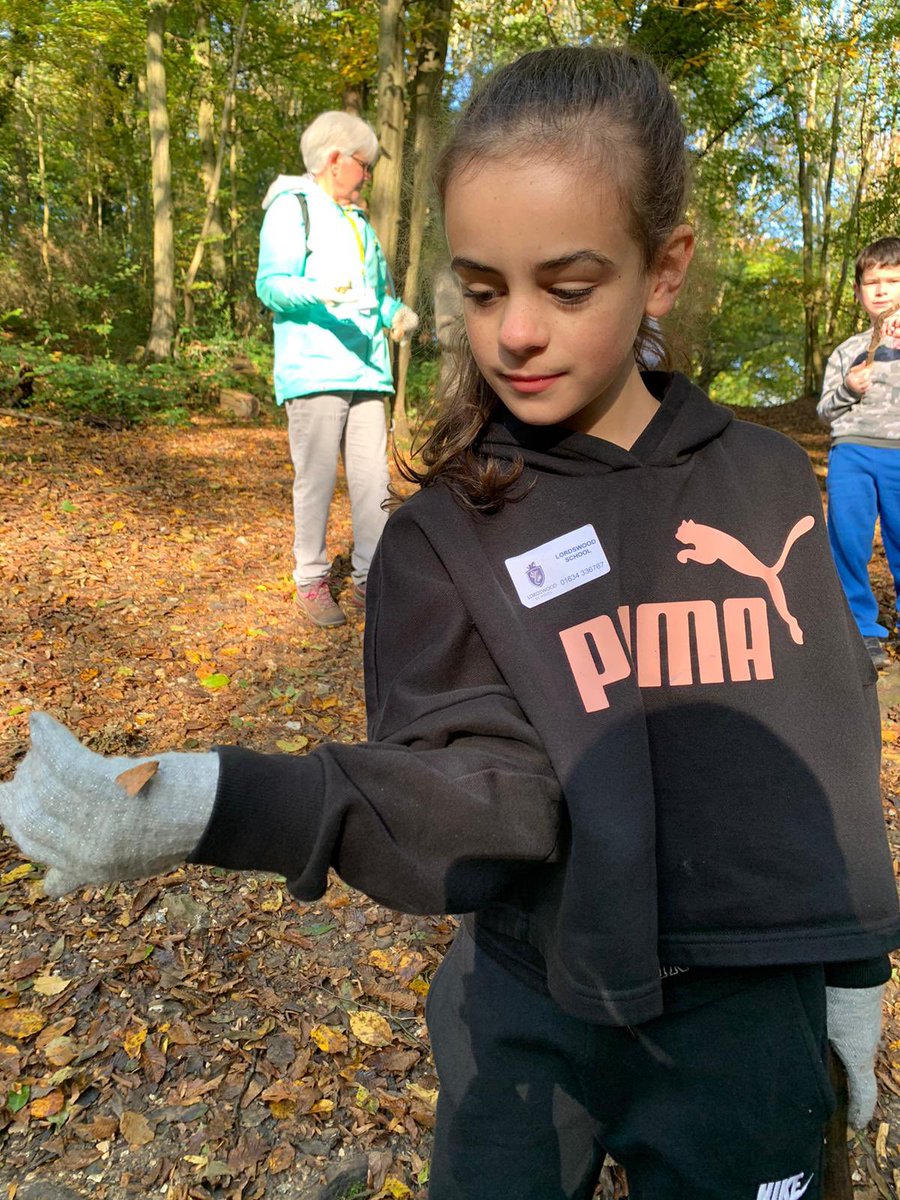 lordswoodpri's tweet photo. Year 5 are at the woods having an amazing time! #forestschool #newtext https://t.co/rBaXD4fvsm