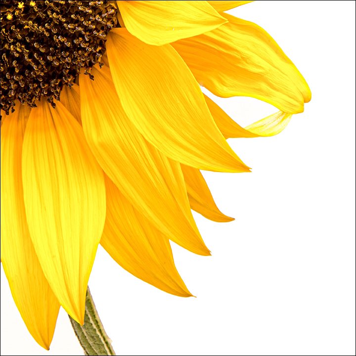 Creativecarole tweet media