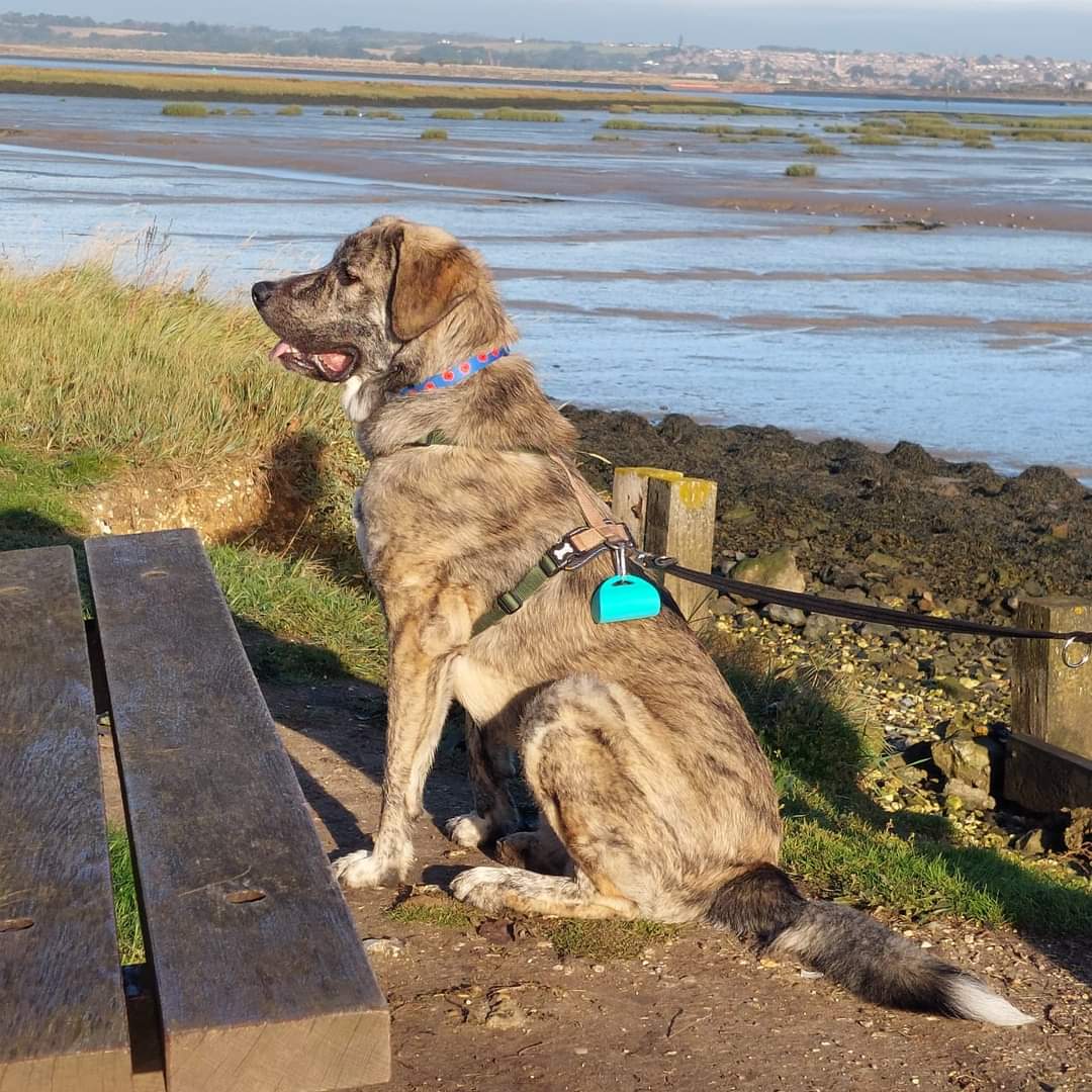 A few weeks ago at Riverside Country Park...