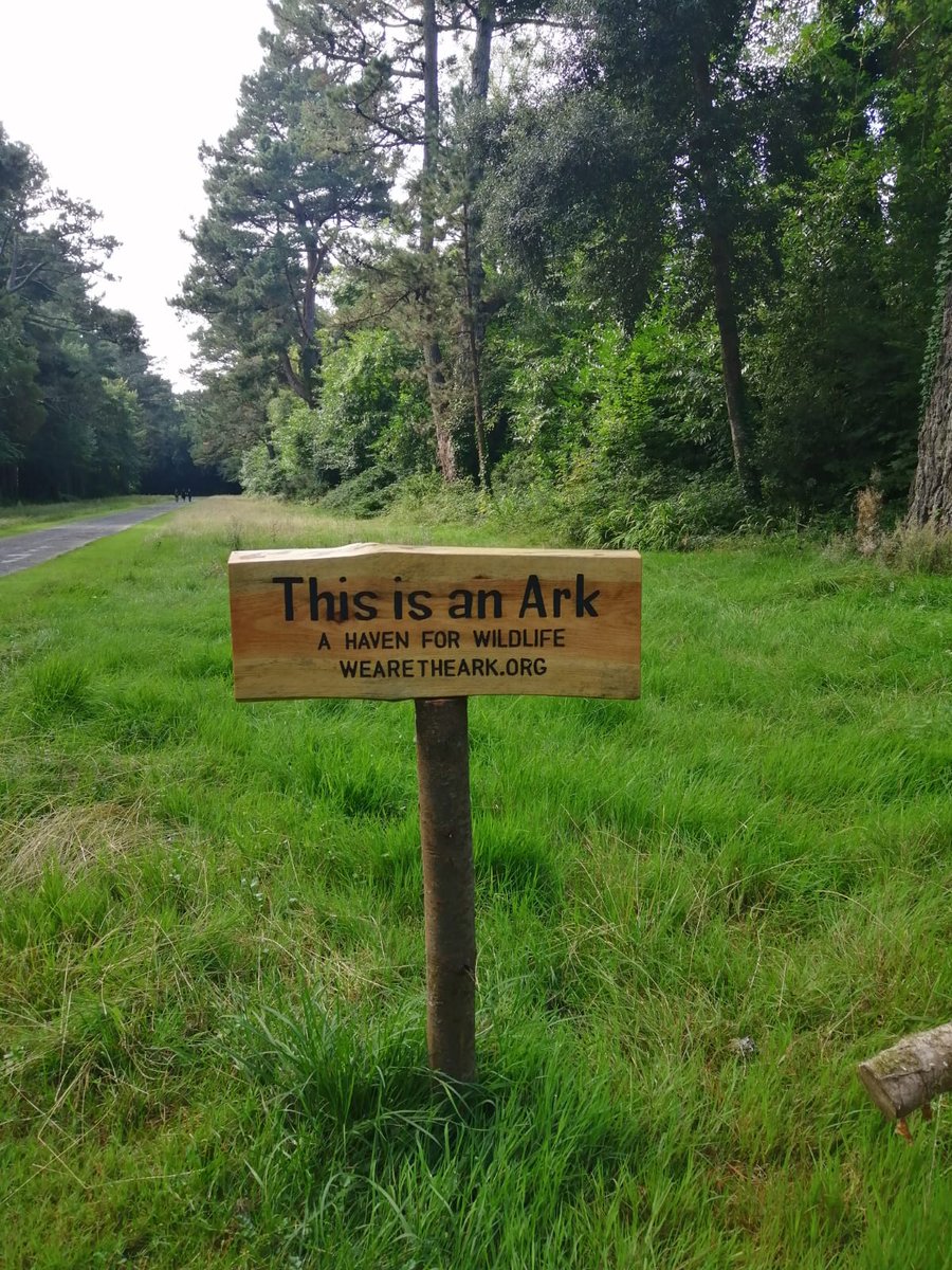ashfordcastle's tweet photo. #LetsbuildanARK is about giving land back to nature and allowing it to heal and re-wild through natures natural processes.
We did exactly that when we joined the movement early this year and we are proud to boast that at least 50% of our estate is an ARK. https://t.co/NeZinY7ibj