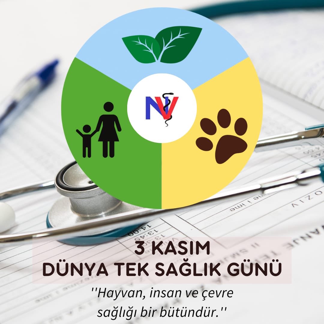 3 KASIM DÜNYA TEK SAĞLIK GÜNÜ KUTLU OLSUN ! ☘️🌲🐾👩🏻‍⚕️👨‍⚕️