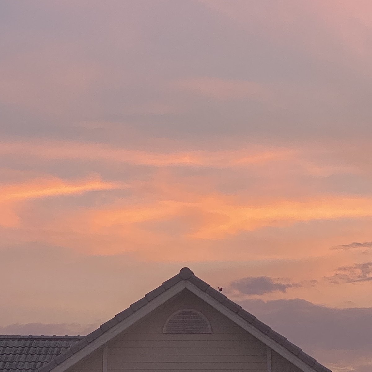 ชอบท้องฟ้าตอนหน้าหนาวที่สุดแล้ว