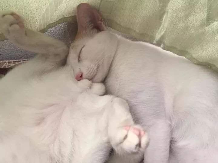 peconhapuida's tweet image. Bom dia! Não importa aonde estejamos, o melhor da vida é que sejamos felizes.