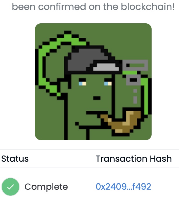 Virtual Connect Punks tweet media