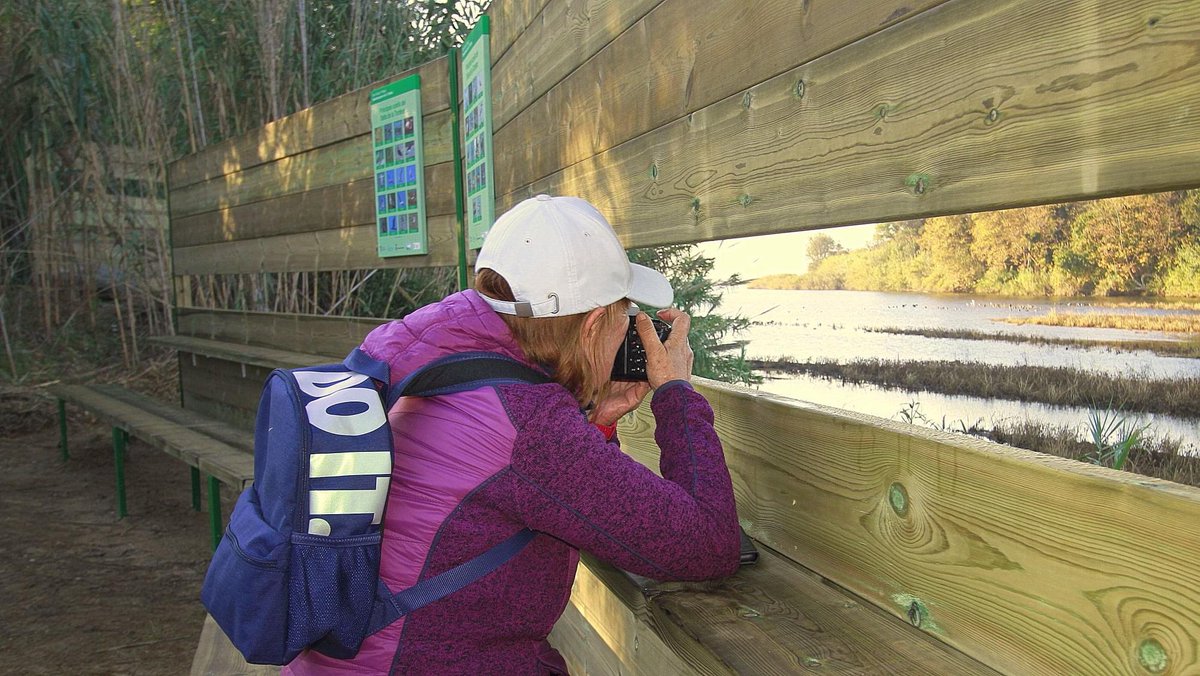 Blanes_cat's tweet photo. Notícia: @Blanes_cat posa en marxa un observatori d’ocells al projecte de protecció del #DeltaTordera S’han instal·lat dos trams amb pantalles per observar i fotografiar aus i cartells sobre els valors ambientals. Autor 📸 Xarxet Comú: Ricard Busquets
https://t.co/gRttcrZCZA https://t.co/pLWojurlBF