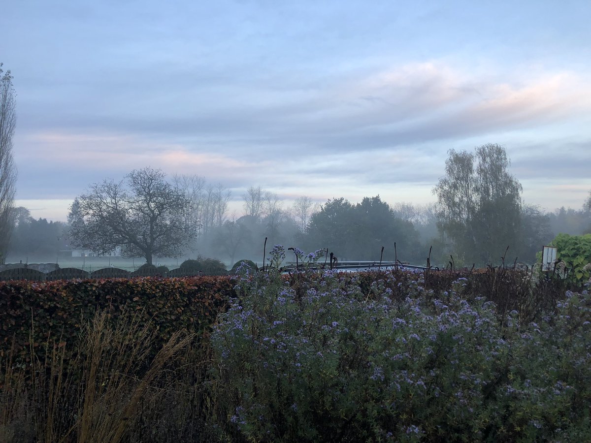 SandraVerbr's tweet photo. Herfstochtend met een swoosh … #mymagicalgarden #vrtweer #prairietuin #holsbeek https://t.co/nEw3Ki9nmb