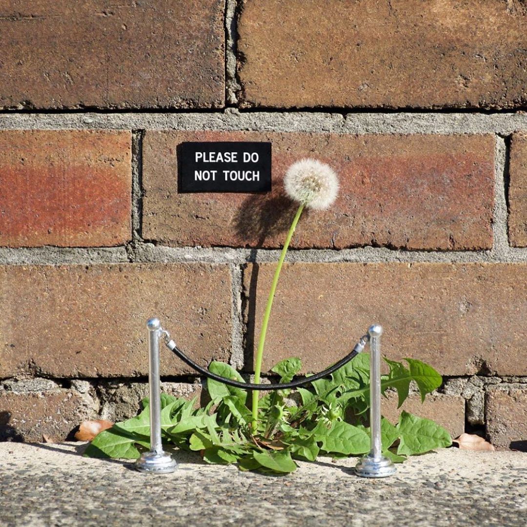 UtopiaStreetArt's tweet image. 16 Photos – Street Art by Michael Pederson in Sydney, Australia #art #streetart #graffiti More: wp.me/p1bmGw-51h