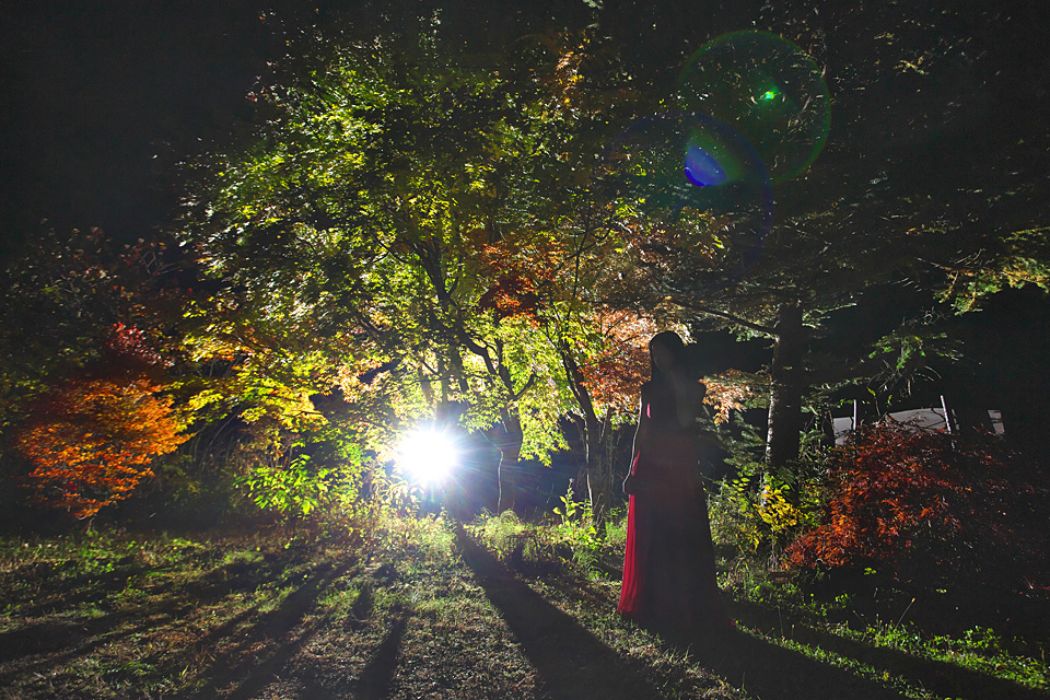 atelier_shirabe's tweet photo. 夜紅葉
camera: #5Dmark3
lens: #EF1740F4L
transmitter: #STE2
strobo: #580EXII
ストロボが光るまでは真っ暗闇です。
#ファインダー越しの私の世界
#photo #photography #信州原村 #八ヶ岳 https://t.co/grDxFPawz2