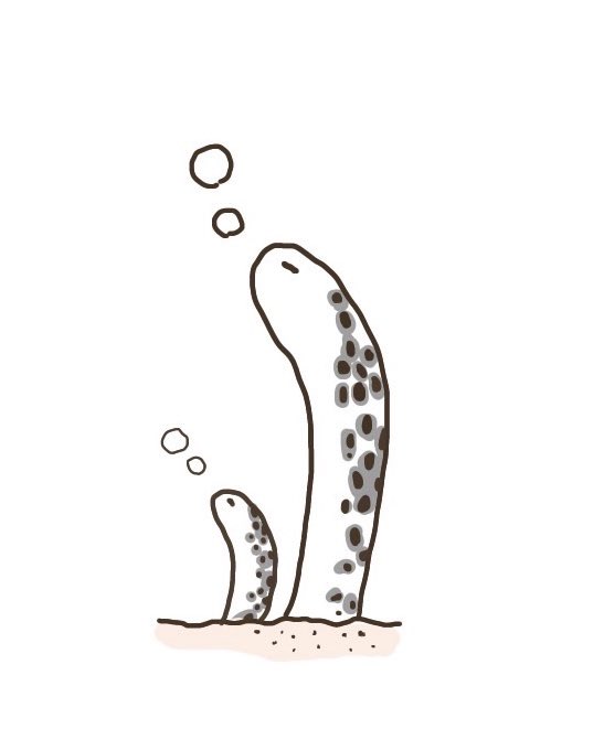 Toki Doki チンアナゴチンアナゴチンスコウ チンアナゴ 時々 Tokidoki 絵日記 ゆるいイラスト イラスト好きと繋がりたい イラストレーターさんと繋がりたい バズりたい T Co V7eewaekcj Twitter