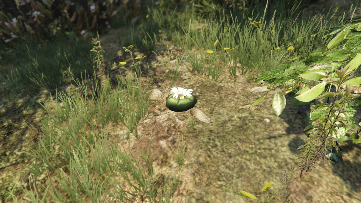 SpikyBox's tweet photo. 🚫♻️Peyote Service♻️🚫

Take advantage today to do RP, which will take them off the map tomorrow!!

✅Is in a public session activity 
✅It has open privacy 
🆔️sharpie1664-YT

🤗RT🔁RT🔁RT🔁RT🔁RT🔁RT🤗 https://t.co/0o9HD0ZWNU