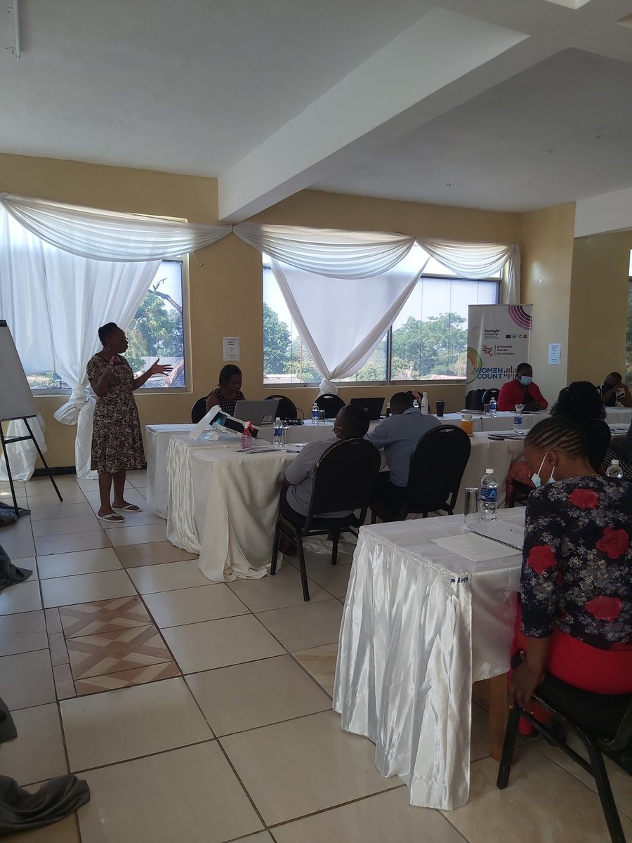 Zimbabwe Gender Commission tweet media