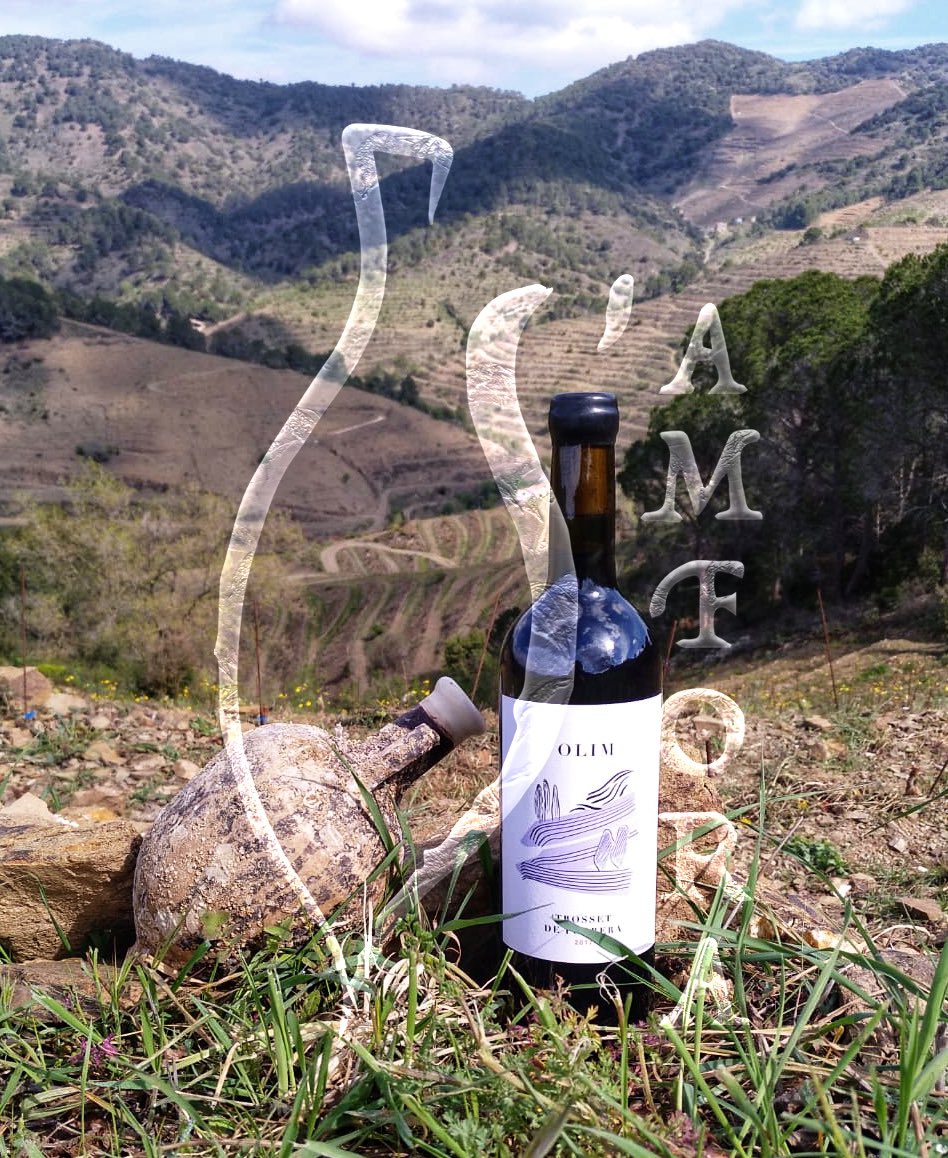 vidamfora's tweet photo. Els paratges que dónen l’ADN a S’Àmfora_vi sota mar. 
@doqpriorat @vidamfora #samfora 
https://t.co/HG5gIaTQYs
Bon dia a tothom https://t.co/x2ayIK6Xfw
