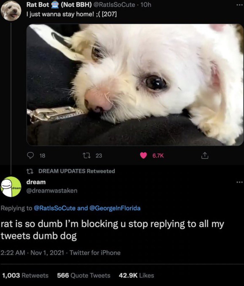 Scarlett1924's tweet photo. #JUSTICEFORRATBOT sorry rat boy https://t.co/Q3BzENgeHX