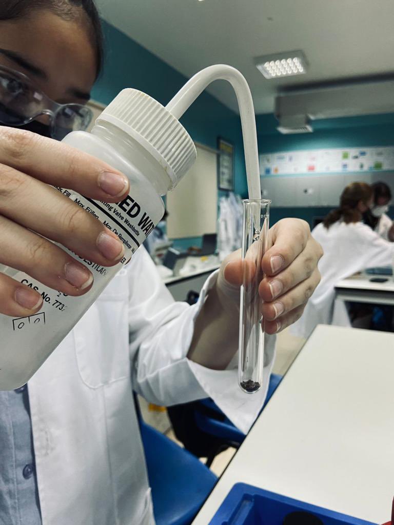 Year 10 investigating Chemical reactions in Chemistry (aka. Potions) today

#DreamInspireAchieve #IB #chemistry #chemist #FutureReady #harrypotter #potions #HandsOnLearning #Experiment #Responsibility