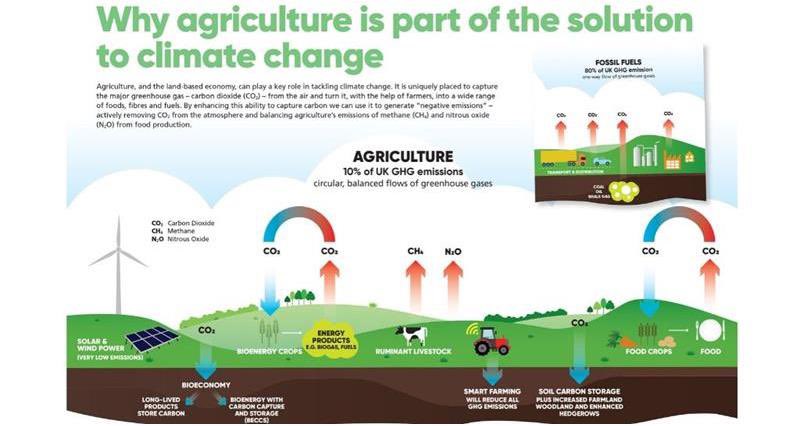 JoeWStanley's tweet photo. I’ve collected some of the great resources available to help demonstrate why British food &amp; farming is among the most sustainable in the 🌍 for Farmer’s Day at #COP26 

#BackBritishFarming 🇬🇧 #ProudToProduce 💚

https://t.co/lsmf6tetQ6 https://t.co/LfnoY83MVF
