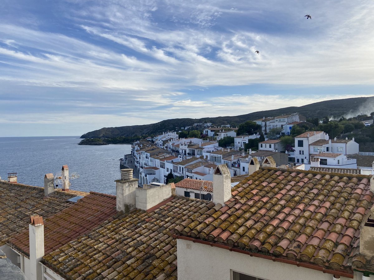 Petitegraine tweet media